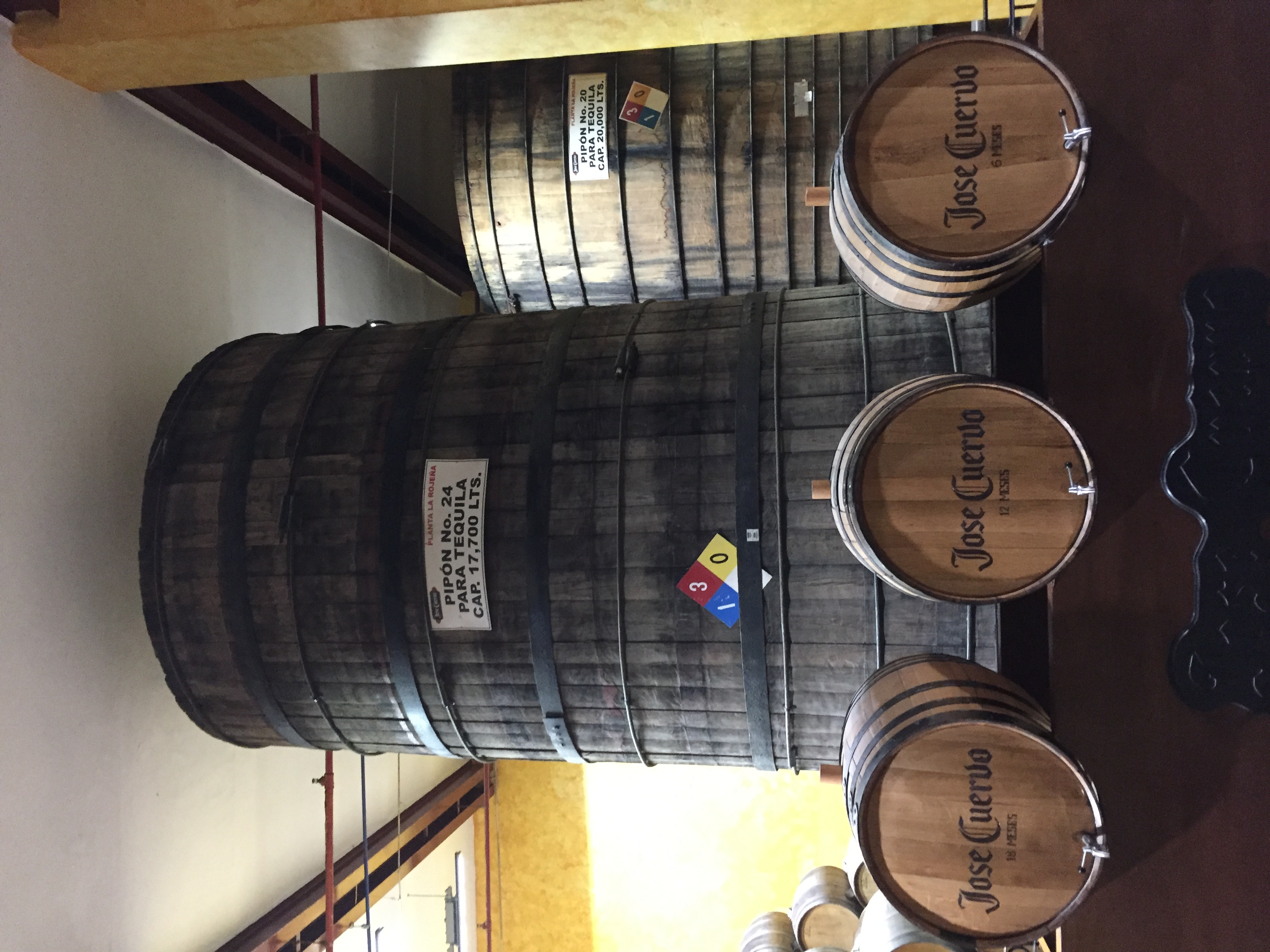 ./2019/01 - Mexico/IMG_0338.JPG